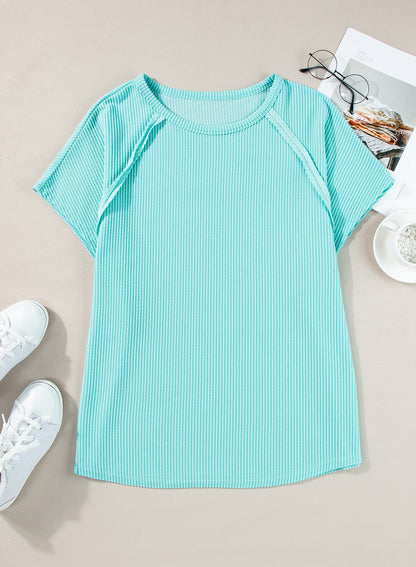 Light Blue Ribbed Exposed Seam Casual Plus Size T Shirt